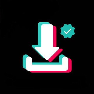 SaveOffBot TikTok Instagram Downloader
