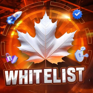 WHITE🍁