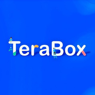 Terabox Video Downloader