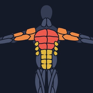 GymAssist — strength training log