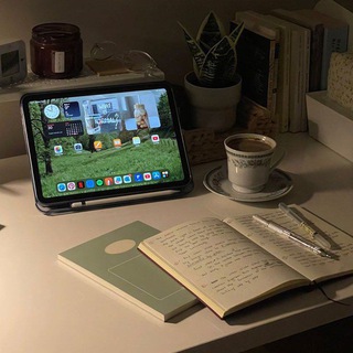 ׁ just study𐦍ׁׁ ׁ