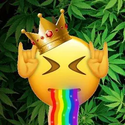Prince Voice