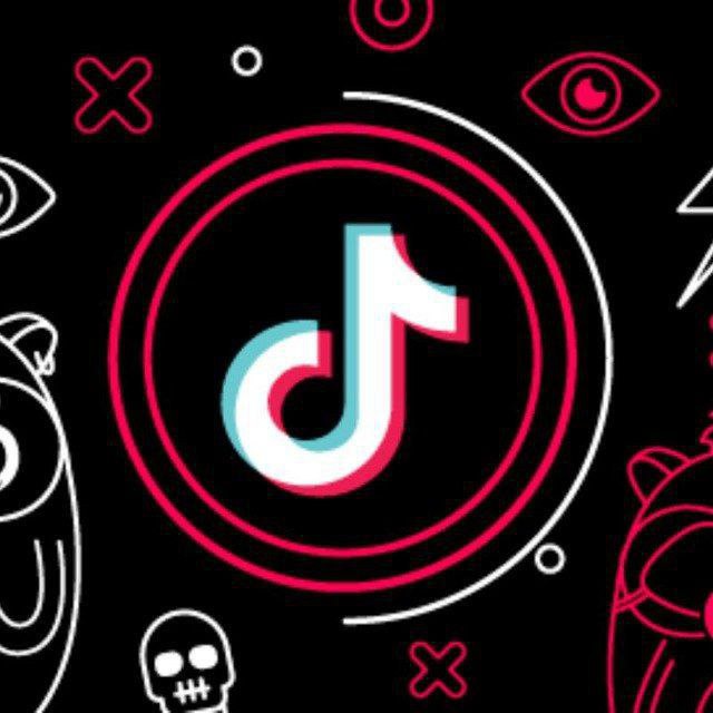SnapTik - download TikTok video no watermark