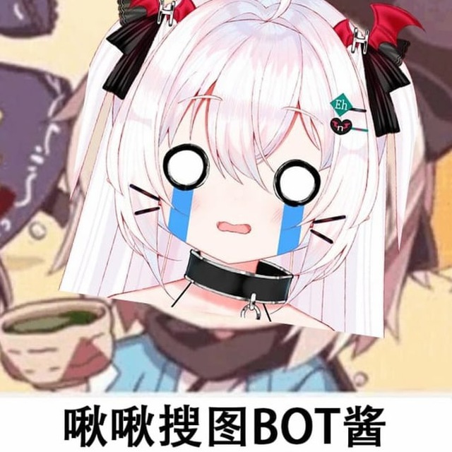 对对对 我就是搜图bot酱 有色图直接发给我